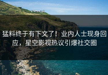 猛料终于有下文了！业内人士现身回应，星空影视热议引爆社交圈