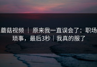 蘑菇视频 ｜ 原来我一直误会了：职场琐事，最后3秒｜我真的服了