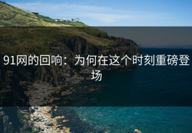 91网的回响：为何在这个时刻重磅登场
