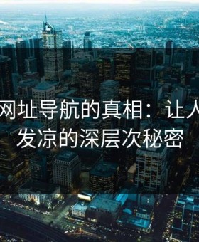 揭开91网址导航的真相：让人越看越发凉的深层次秘密